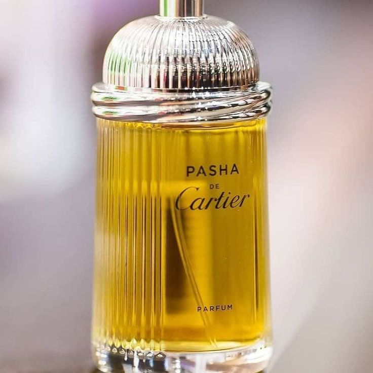 Pasha De Cartier | Classic Woody Scent 100ml