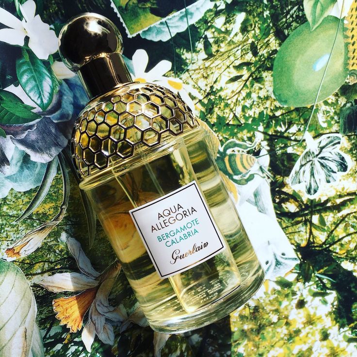 Save GUERLAIN Aqua Allegoria Bergamote Calabria Eau de Toilette